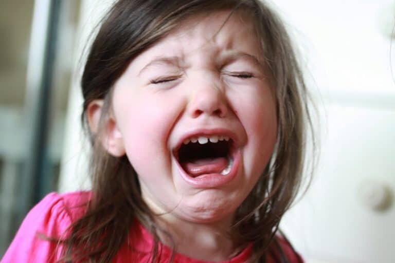 i terribili due anni-768x51