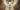 vaginismo-400x280