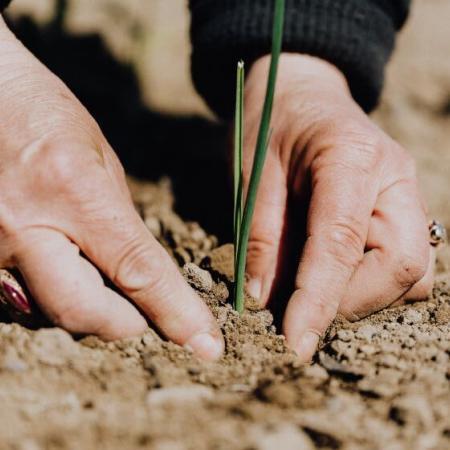 Agire o RE_Agire?-800x560